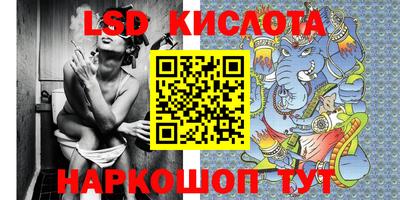 трава Сланцы