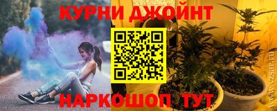 трава Сланцы