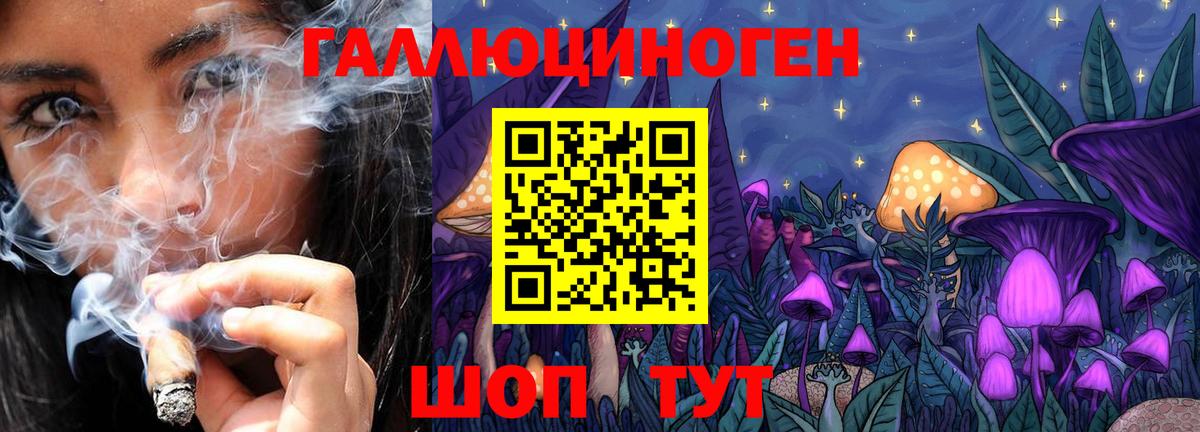 Галлюциногенные грибы Cubensis  Вход с VPN  Алатырь 