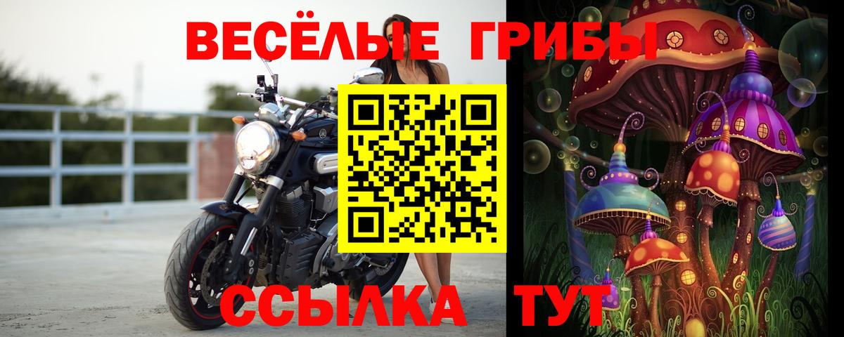 Галлюциногенные грибы ЛСД Алатырь