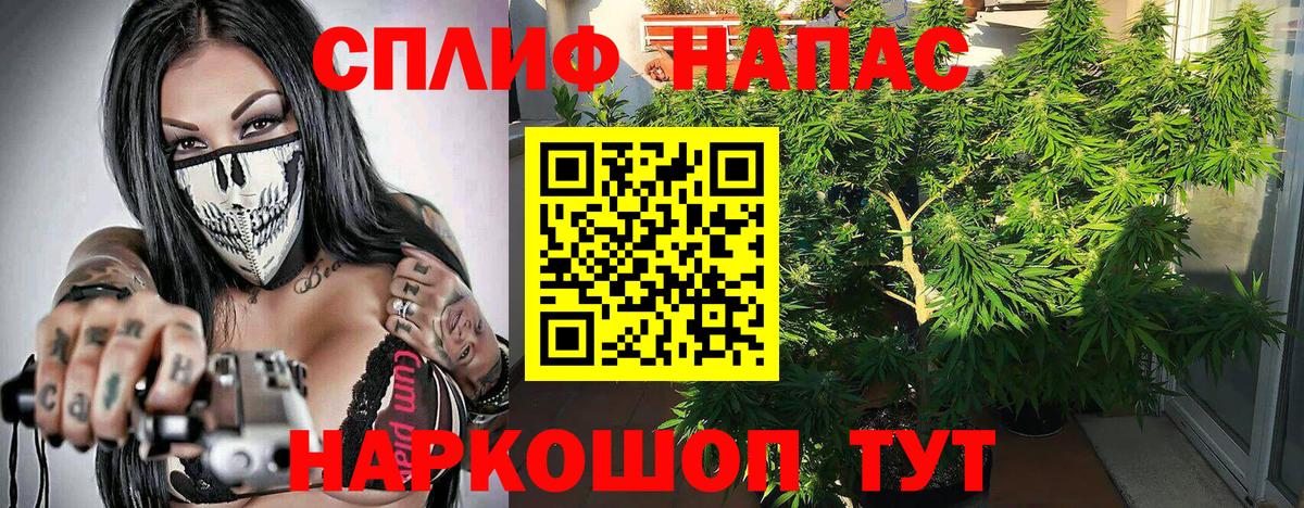 Каннабис конопля  Вход с VPN  Алатырь  Марихуана Amnesia  Шишки марихуана Ganja  Марихуана план 